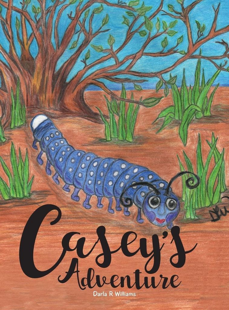 Casey's Adventure
