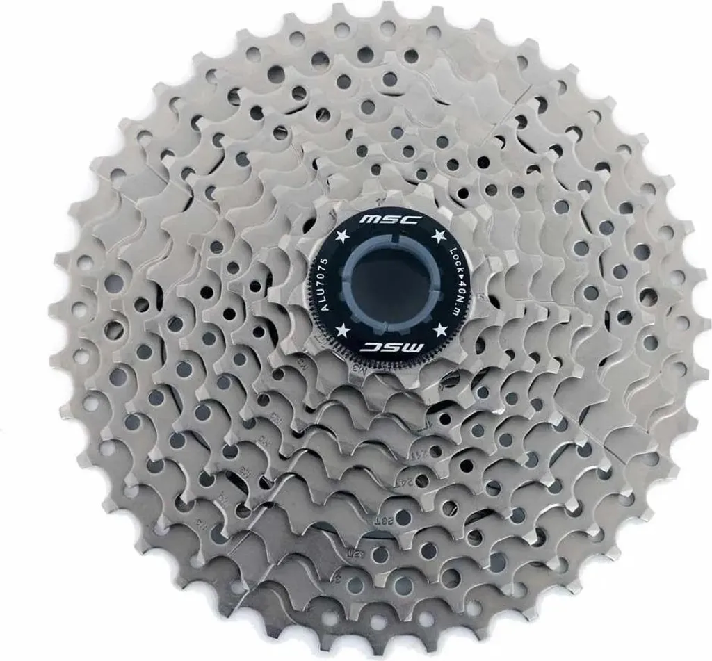 Cassette de Vélo 10 Vitesses 11-46T Argentée MSC pour Transmission VTT