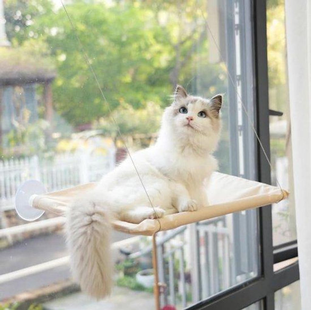 Kattenzitplek mit starken Klemmen - transparente Kattebett für Balkon - Hängematte in Beige