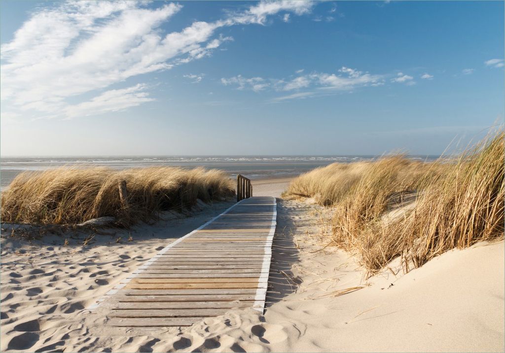 Wallario Poster - Auf dem Holzweg zum Strand, Kunstdruck Größe: 70 x 100 cm