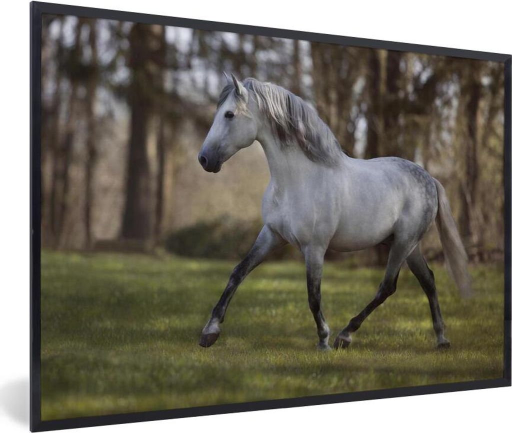 MuchoWow Gerahmtes Poster Pferd - Pilz - Gras 90x60 cm - Poster mit Schwarzem Bilderrahmen Wandposter Rahmen Foto Bilder - Fotorahmen - Foto-Plakat