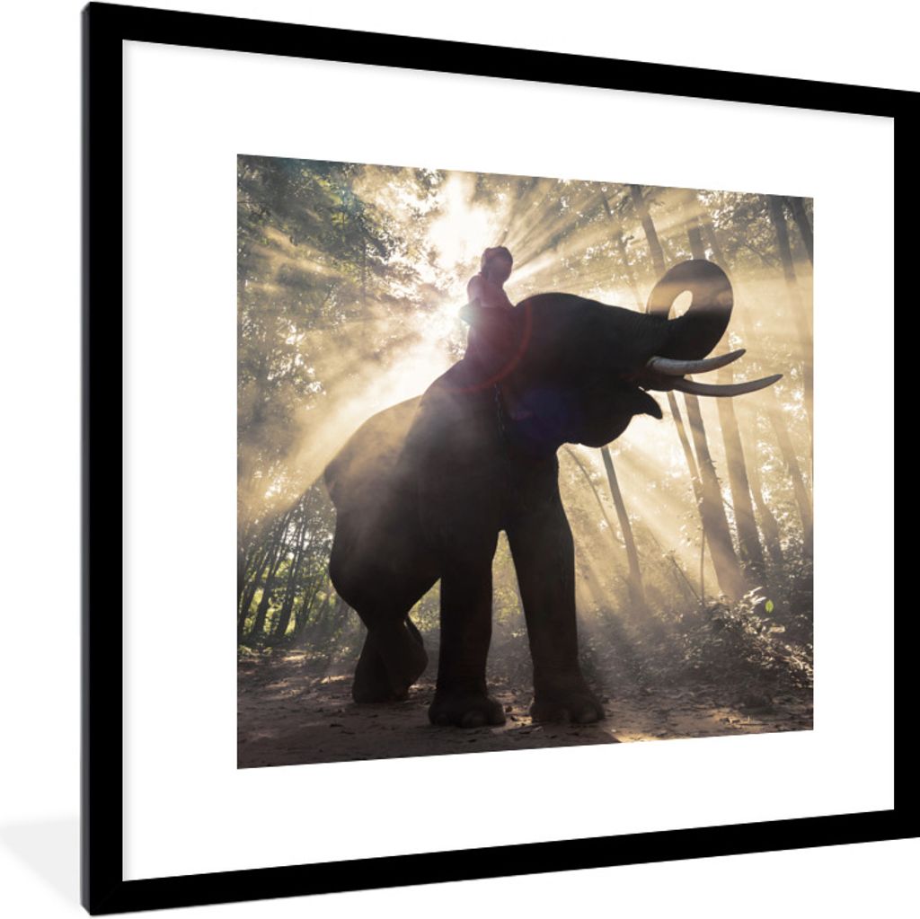 MuchoWow Gerahmtes Poster Elefant mit Person in hellem Sonnenlicht 40x40 cm - Poster mit Schwarzem Bilderrahmen Wandposter Rahmen Foto Bilder - P...