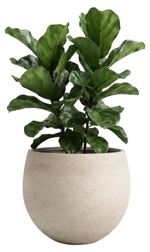 aplanta Pflanztopf Sandro beige | 28X23, für drinnen, Produktbild 