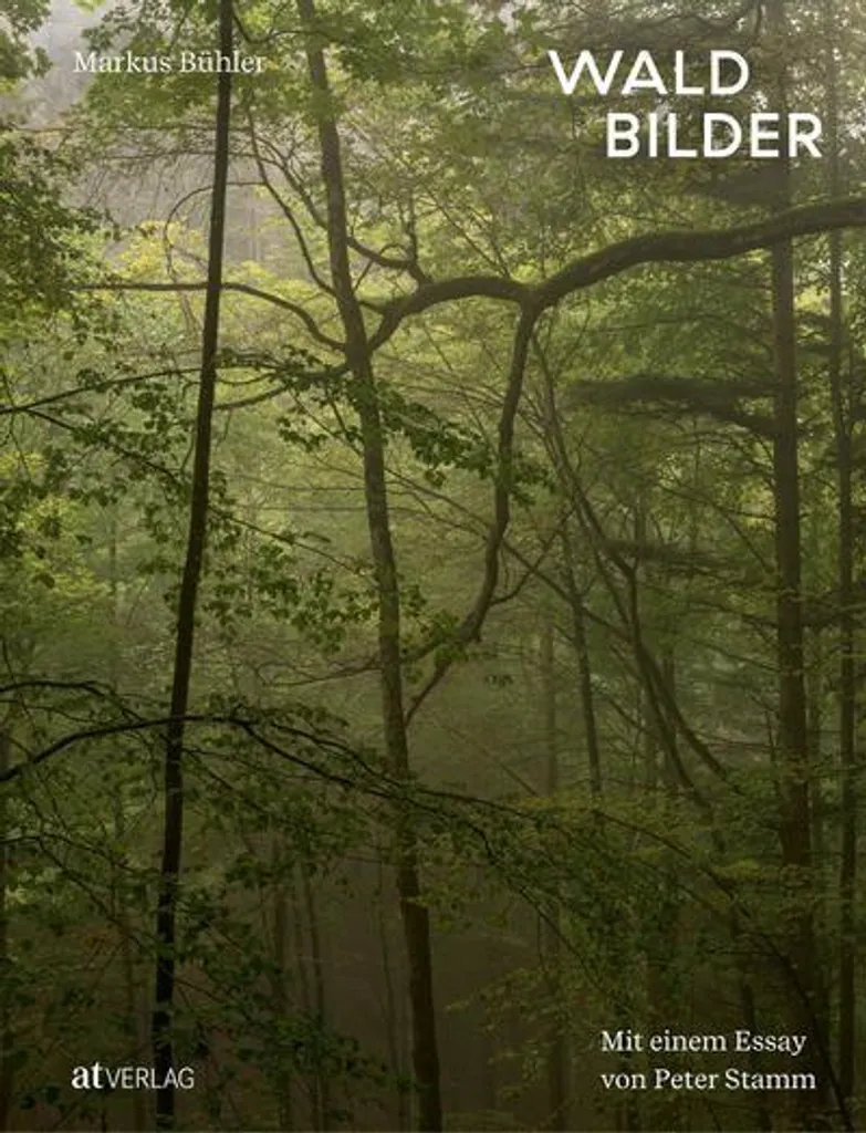 Waldbilder : profitez de vraies plantes en intérieur sans lumière ni eau