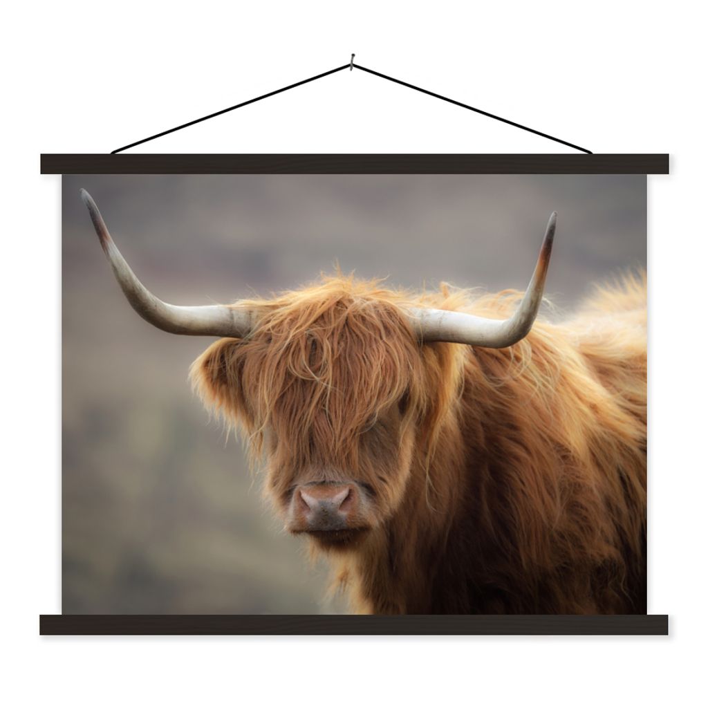 MuchoWow Textilposter Schottischer Highlander - Hörner - Haare 40x30 cm mit schwarzem Rahmen - Dekorationen