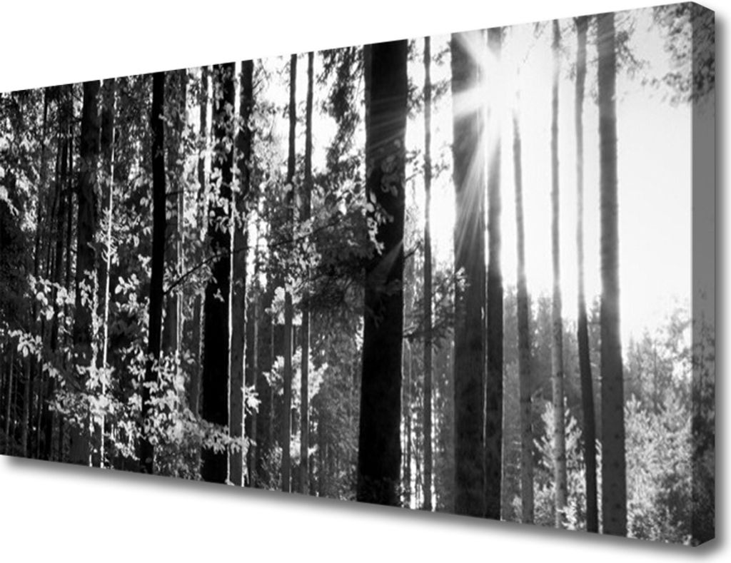 Tulup Leinwand-Bilder 100x50 Wandbild Canvas Kunstdruck Wald Natur