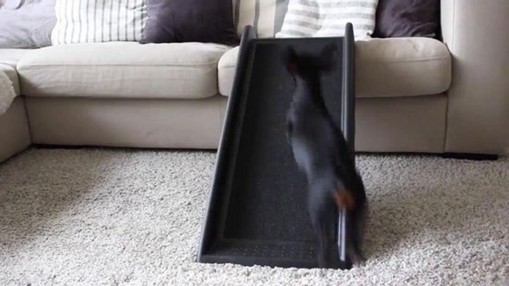 TRIXIE Pet Ramp Plastový brúsny papier čierny Obrázok produktu 11