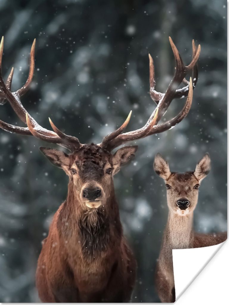 MuchoWow Poster Hirsche - Tiere - Winter - Geweih - Schnee - Natur 30x40 cm - Wandplakat - Poster Kinderzimmer
