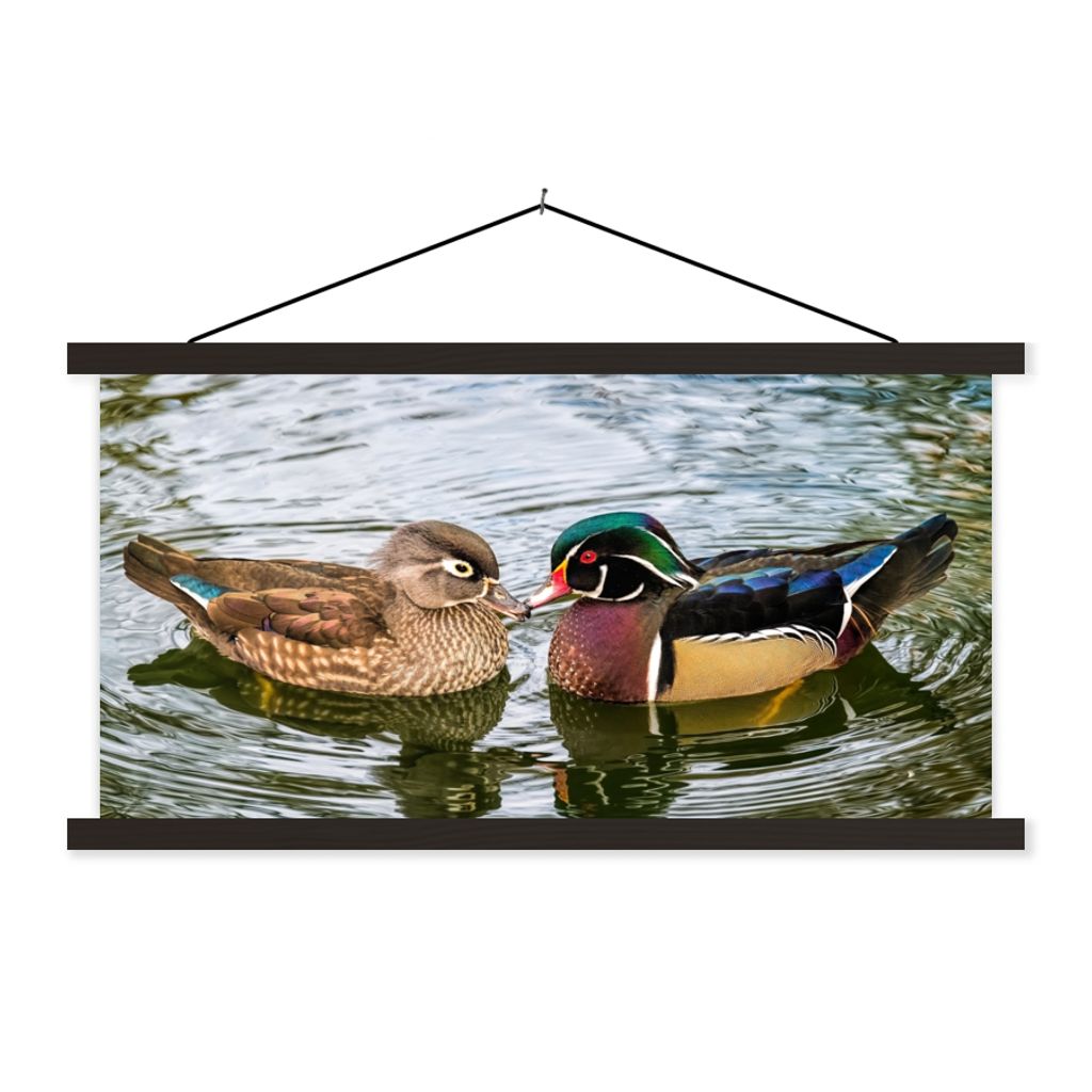 MuchoWow Textilposter Ente - Vögel - Wasser - Federn - Tiere 150x75 cm mit schwarzem Rahmen - Posterleiste