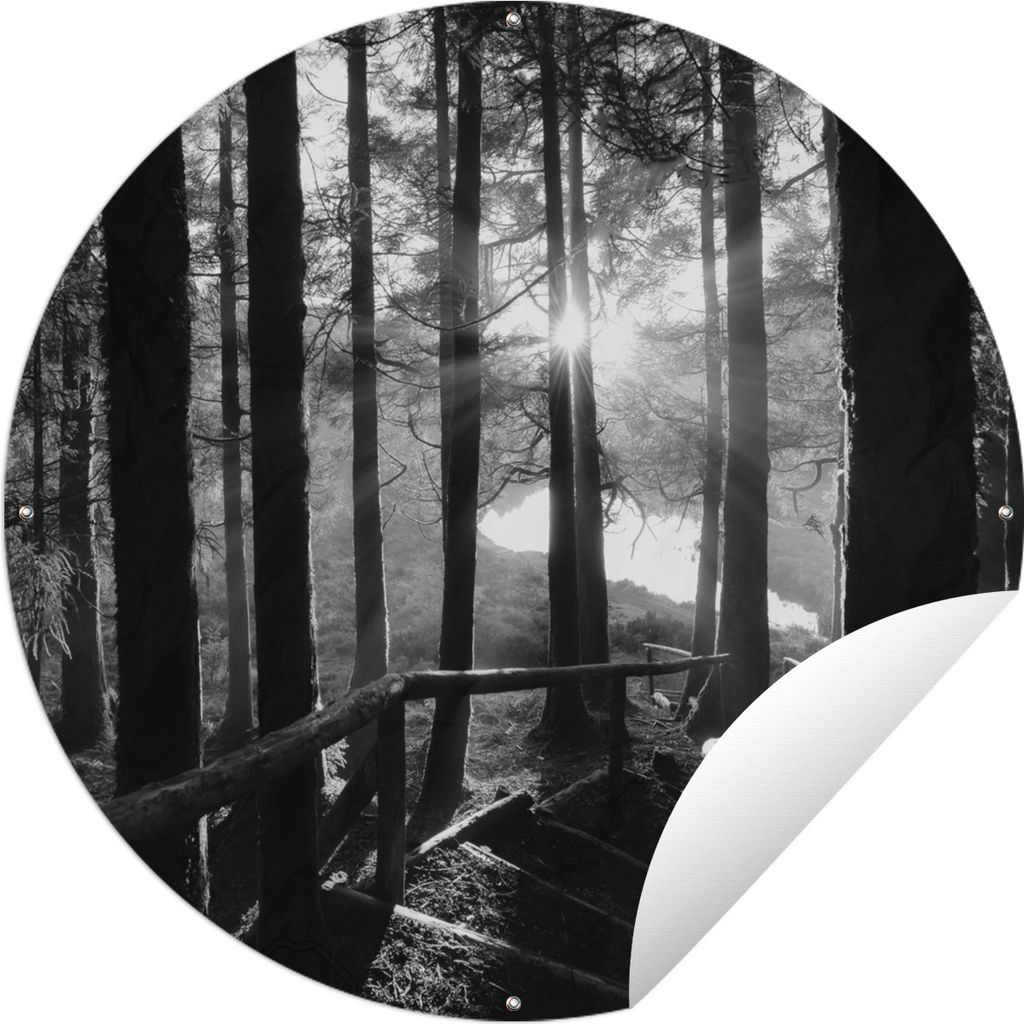 MuchoWow Gartenposter Outdoor-Poster Rund Wald - Treppe - Azoren - Schwarz - Weiß Ø 90 cm Gartendeko Rundes Poster draußen