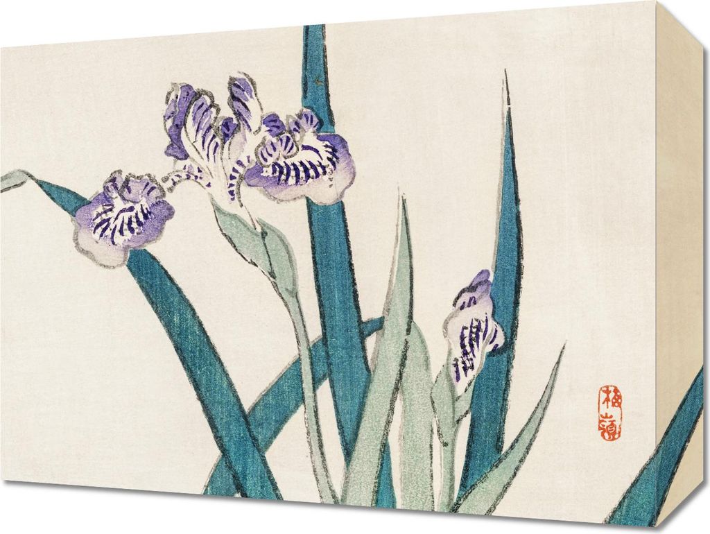 Bild 40x30cm Schwertlilien, Kōno Bairei Japanisches Vintage für das Wohnzimmer