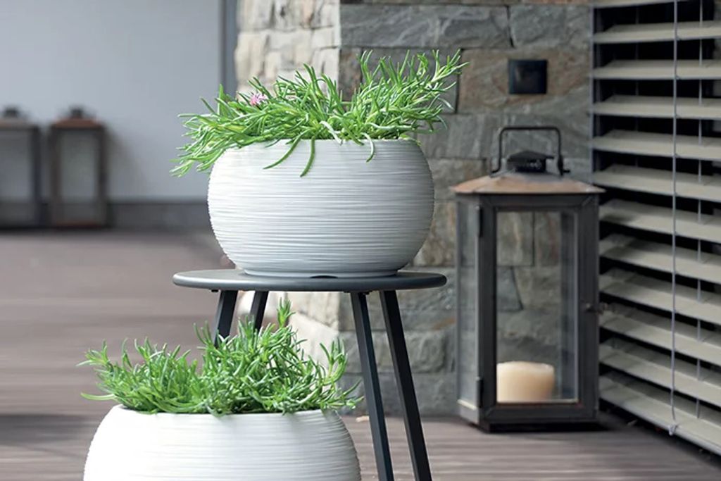 Prosperplast Furu Bowl Blumentopf für Innen- und Produktbild 3