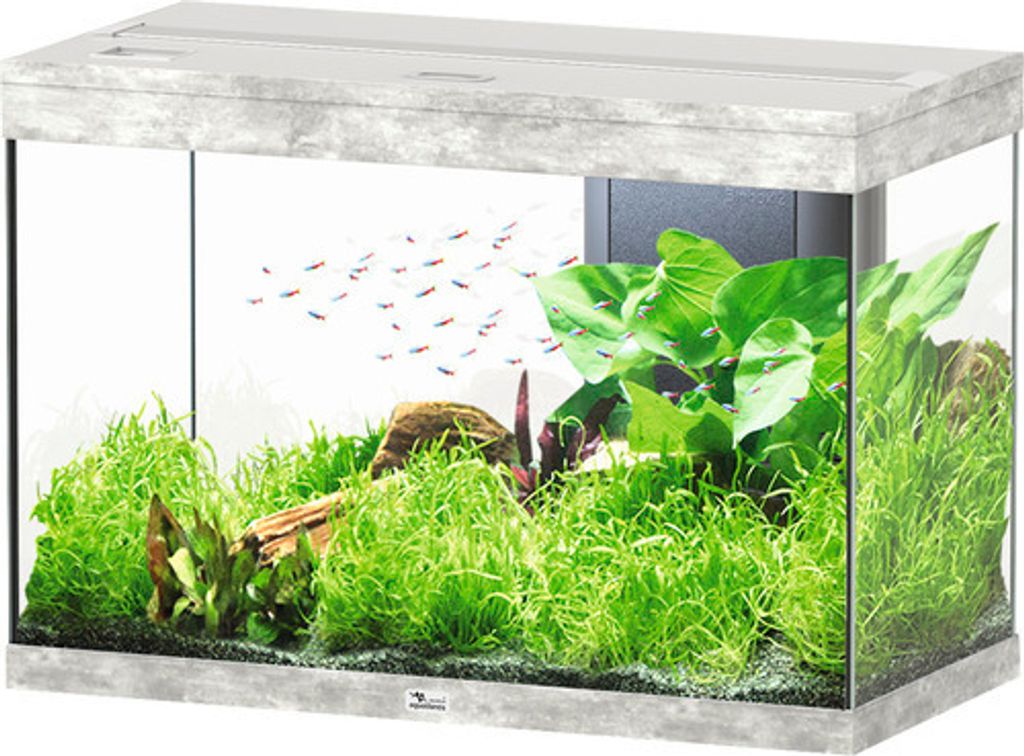 Aquarium aquatlantis Splendid 145 inkl. Beleuchtung, Filter Steinoptik