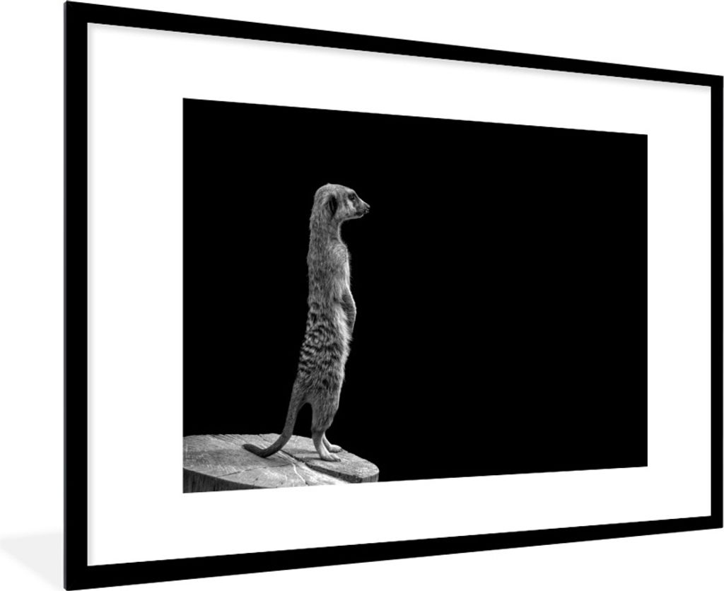 MuchoWow Gerahmtes Poster Erdmännchen für schwarzen Hintergrund - schwarz und weiß 90x60 cm - Poster mit Schwarzem Bilderrahmen Wandposter Rah...