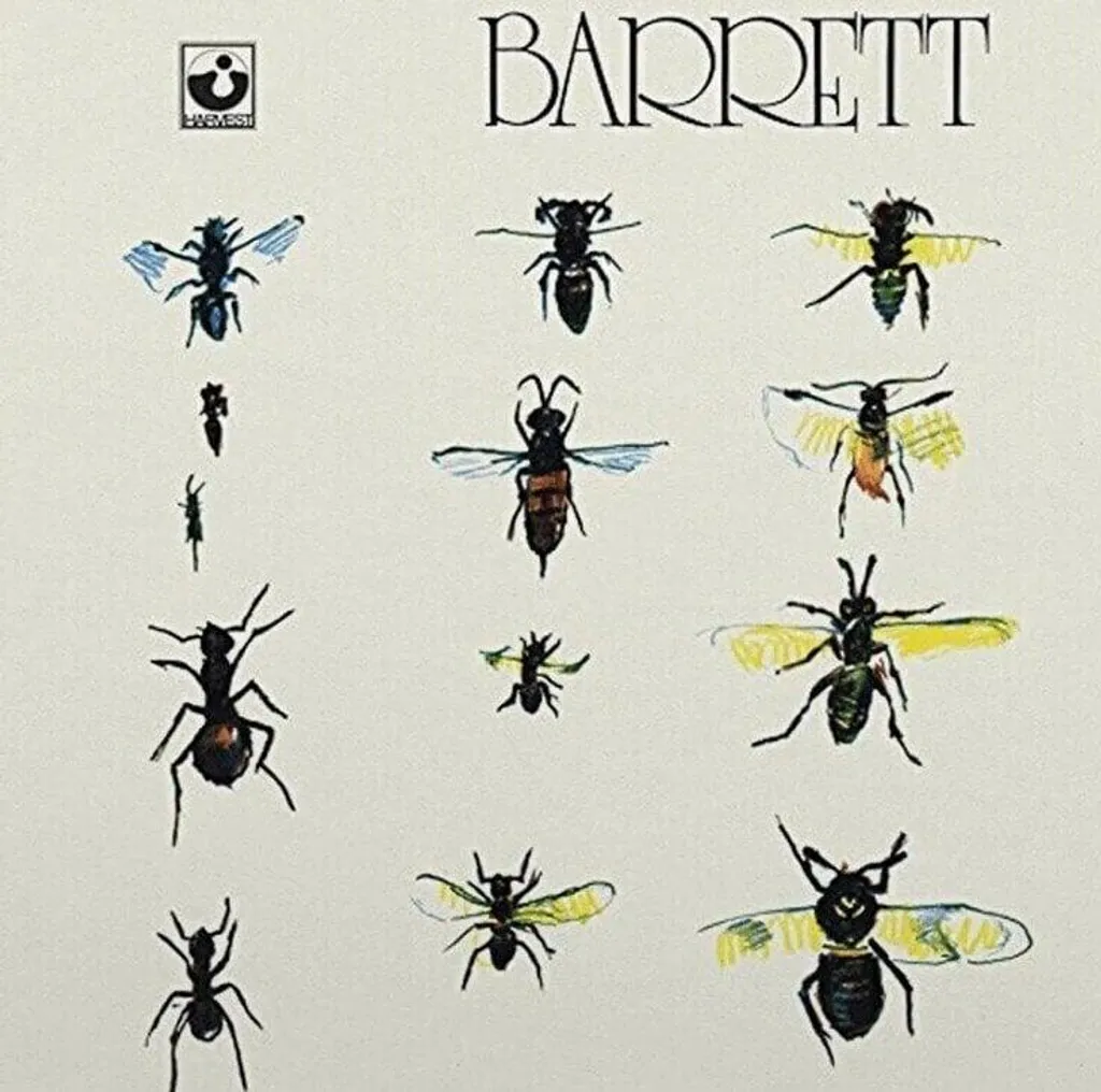 Chaussures Barrett : Bottines Élégantes en Daim de Haute Qualité