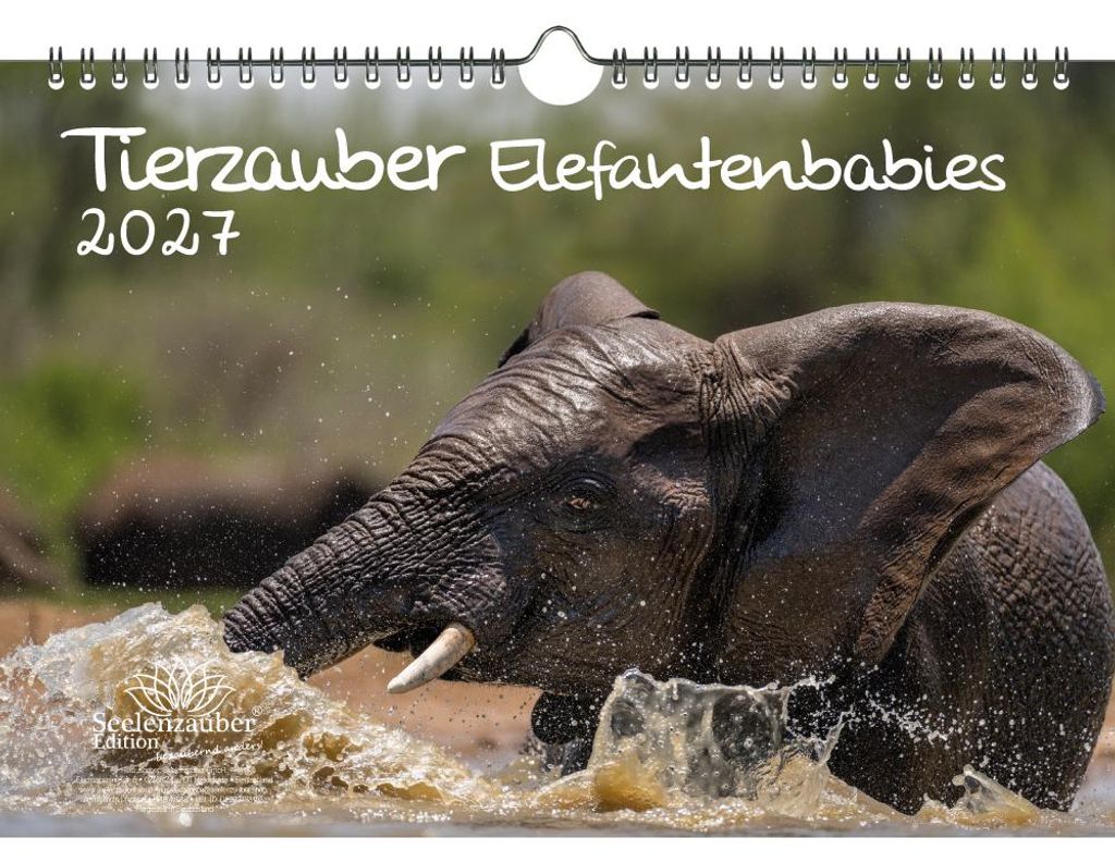 Tierzauber Elefantenbabies DIN A4 Kalender für 2027 Elefanten - Seelenzauber