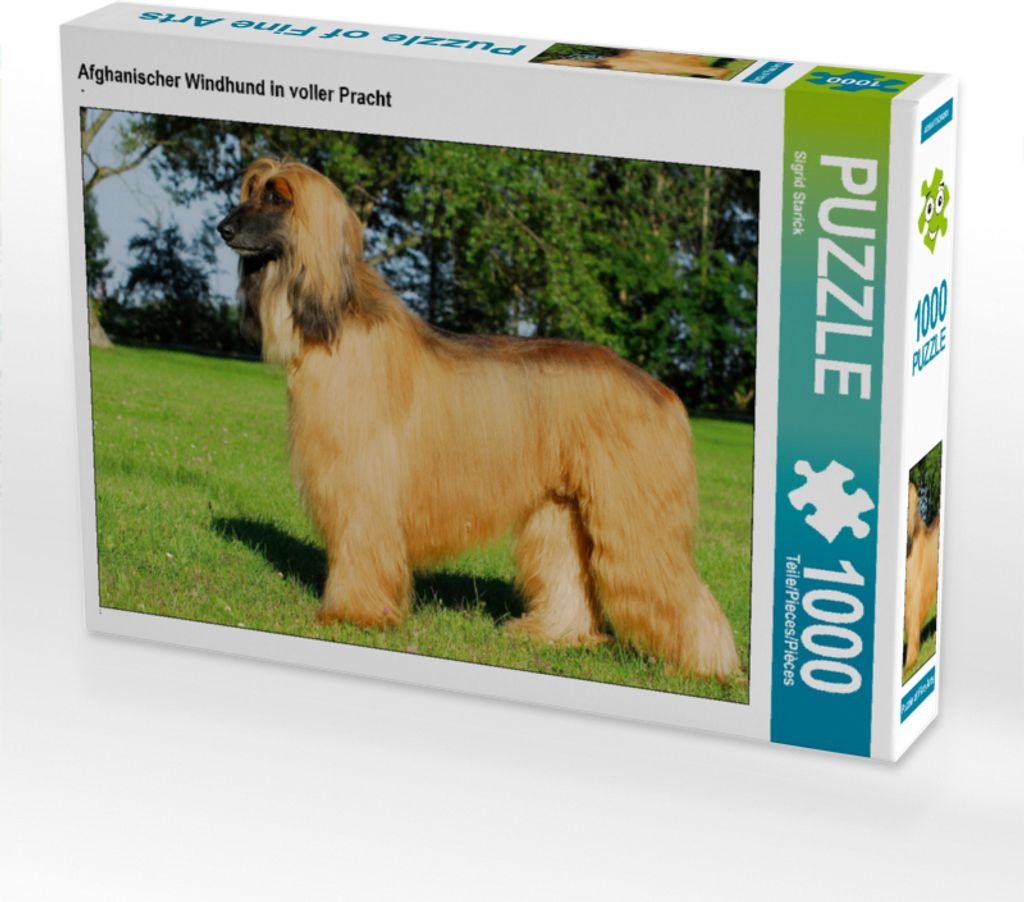 CALVENDO Puzzle Afghanischer Windhund in voller Pracht | 1000 Teile Lege-Größe 64x48cm Foto-Puzzle für glückliche Stunden