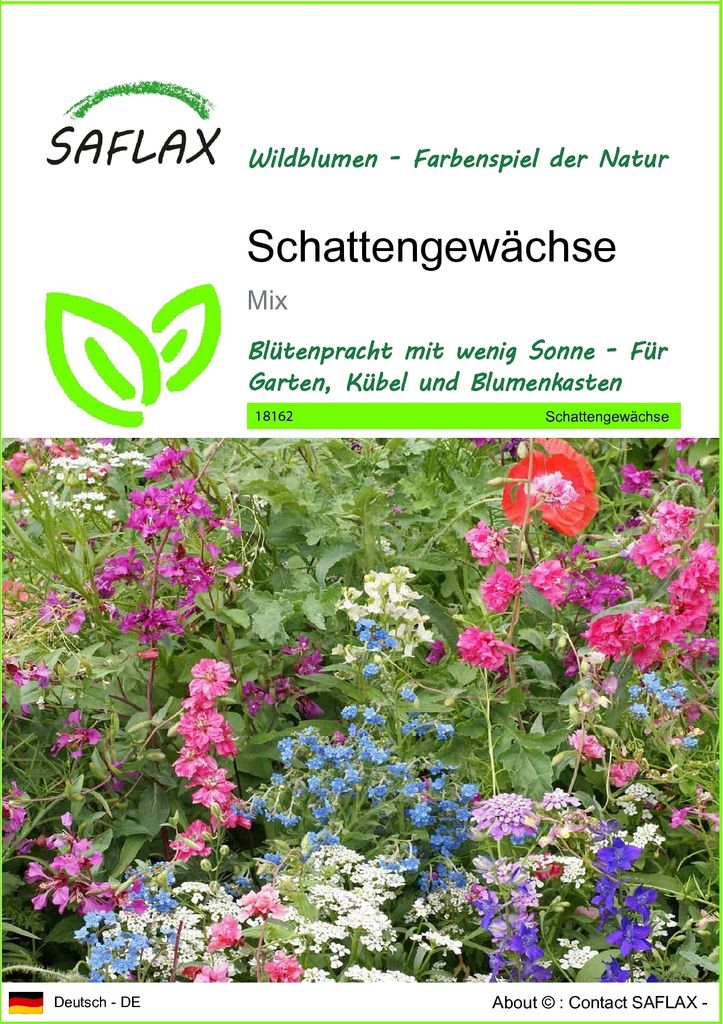 SAFLAX - Schattengewächse - Mix - 1000 Samen Produktbild 