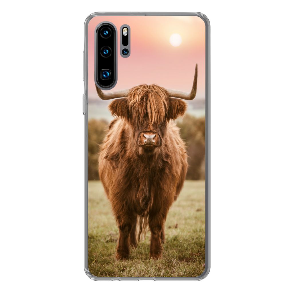 MuchoWow Handyhülle Schutzhülle Hülle für Huawei P30 Pro Schottischer Highlander - Sonne - Himmel Silikon Softcase Handy Hülle - Schutzdeckel