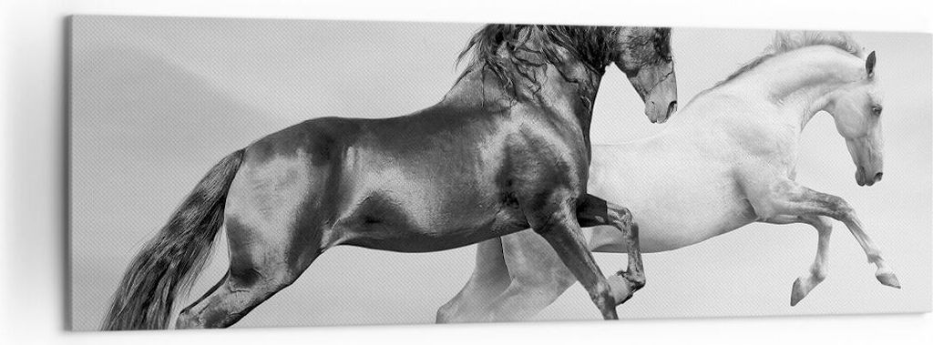 Bild auf Leinwand - Leinwandbild - Pferde Tiere Galopp Wiese - 160x50cm - Wand Bild - Wanddeko - Leinwanddruck - Bilder - Kunstdruck - Wanddekorati...