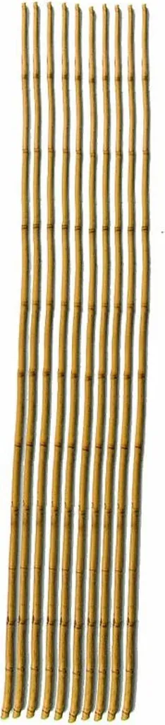 Tuteur de Jardin en Bambou 120 cm : Pack de 20 Cannes pour Plantes Vertes