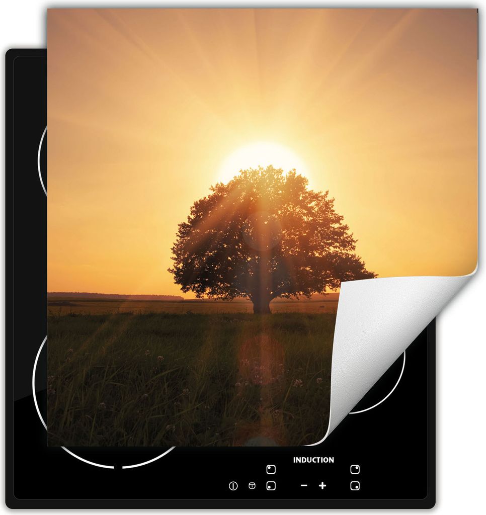 DarHaus Herdabdeckplatte 50x52 cm Anti Rutsch Matte Aufrollbar, Baum - Sonne