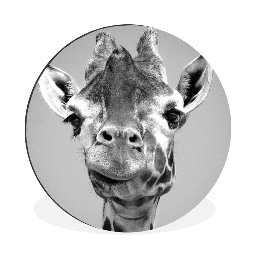 MuchoWow Aluminium Wandkreis Nahaufnahme des Kopfes einer Giraffe - schwarz und weiß Ø 30 cm Wanddeko Modern Wohnzimmer - Wand Bild - Wohnzimme...