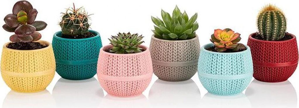 Lot de 6 pots de fleurs pour cactus de différentes Image du produit 