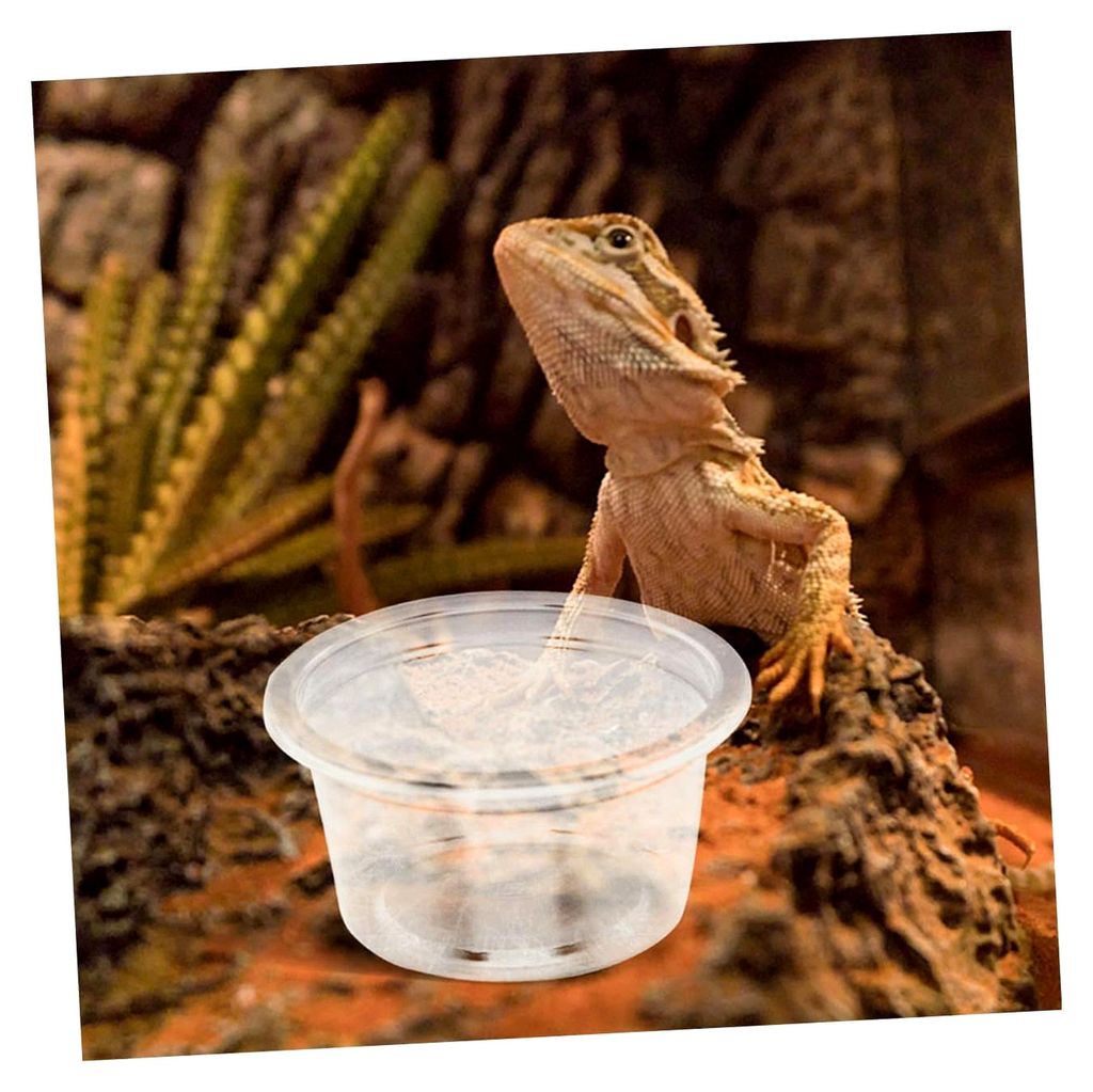 Wasserschale für Reptilien und kleine Haustiere, Terrarien Futternapf aus Kunststoff, 4,7 x 4,7 x 2,5 cm, leicht zu reinigen für Geckos, Schildkr...