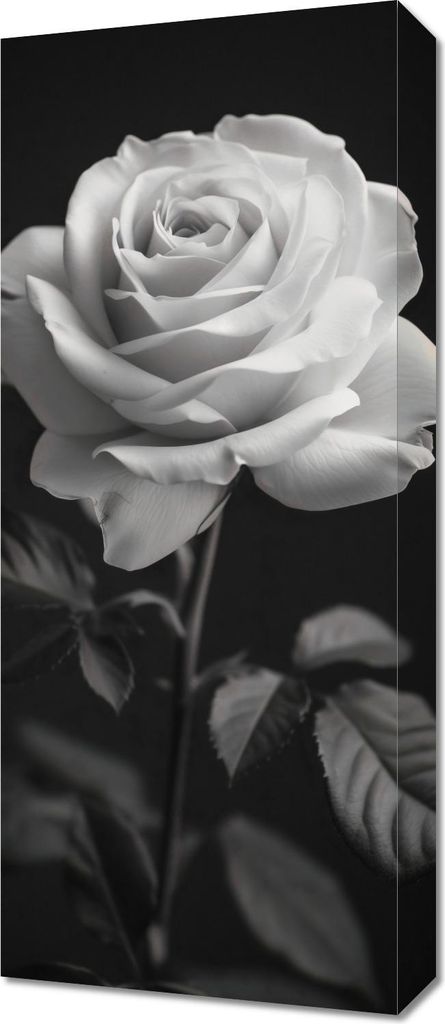 Bild 30x70cm Rosenblätter
