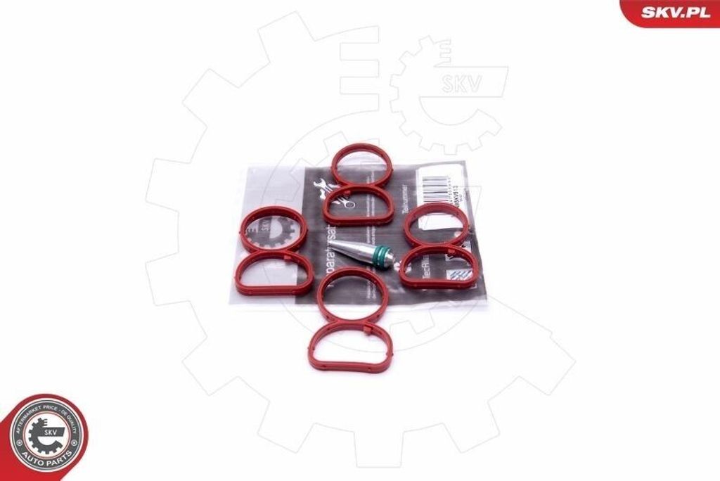 ESEN SKV 49SKV513 Dichtungssatz Ansaugkrümmer für BMW 3 Touring (E91) 3 Limousine (E90) 1 Schrägheck (E87) 5 Limousine (E60) 5 Touring (E61) X3 ...
