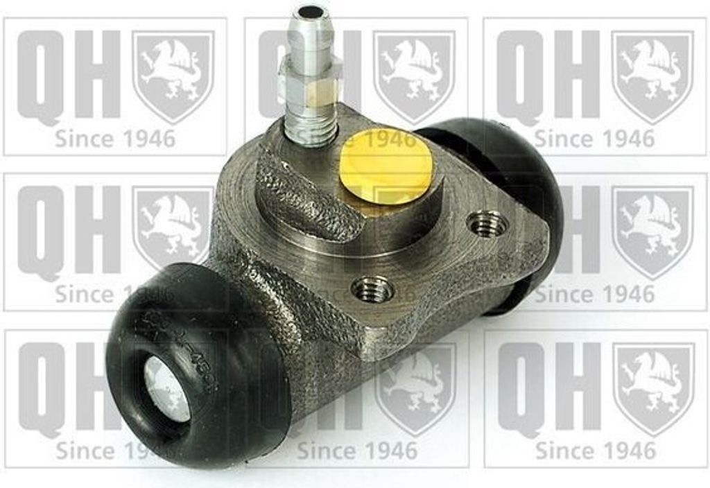 QUINTON HAZELL Radbremszylinder Trommelbremse Hinten für CHEVROLET SPARK (M300) BWC3816