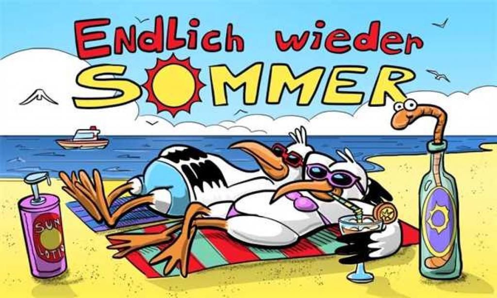 Flagge Endlich wieder Sommer 90 x 150cm, Stoffgewicht ca. Produktbild 