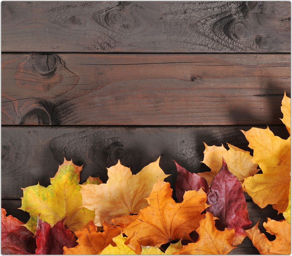 Spritzschutz Herdabdeckplatte Schneidebrett aus Glas Herbstlaub auf Tisch 1-Teilig (60x52cm)