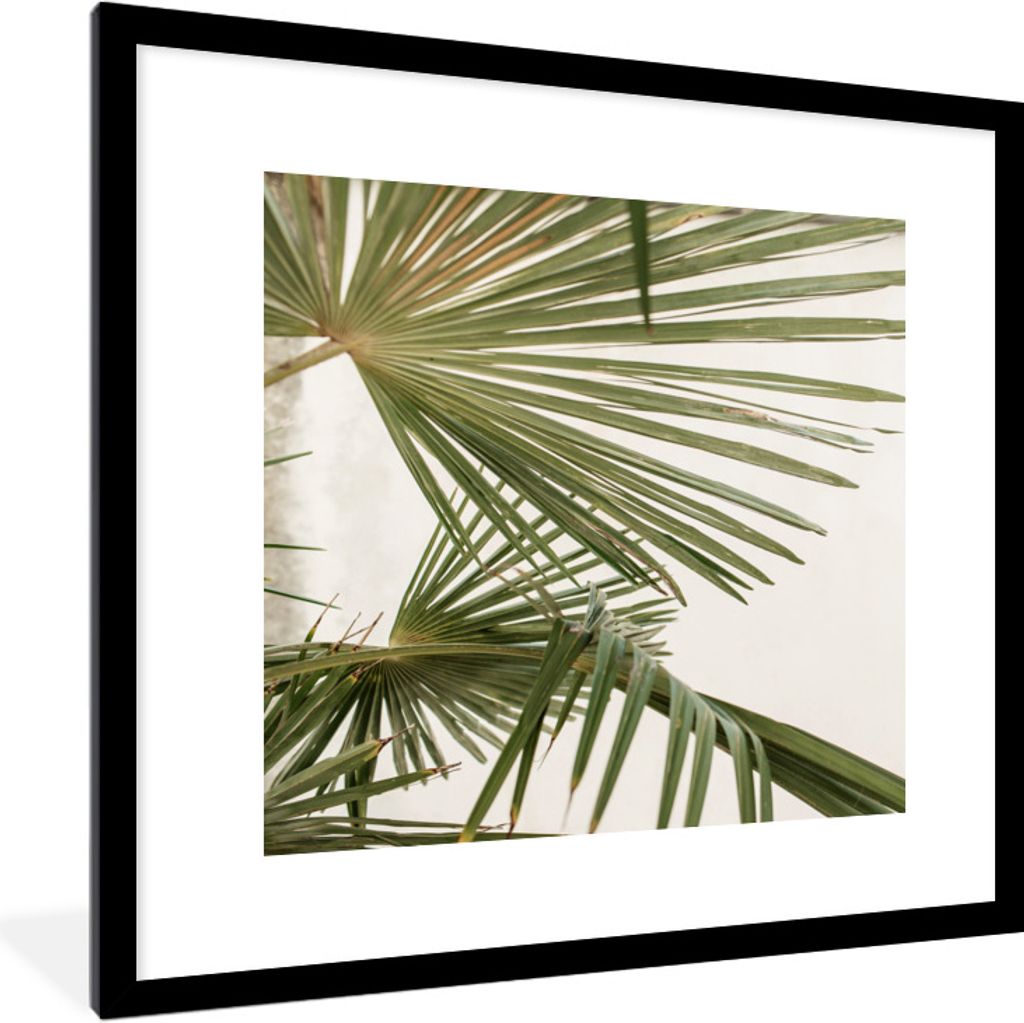 MuchoWow® Gerahmtes Poster Palme - Himmel - Blätter 40x40 Produktbild 