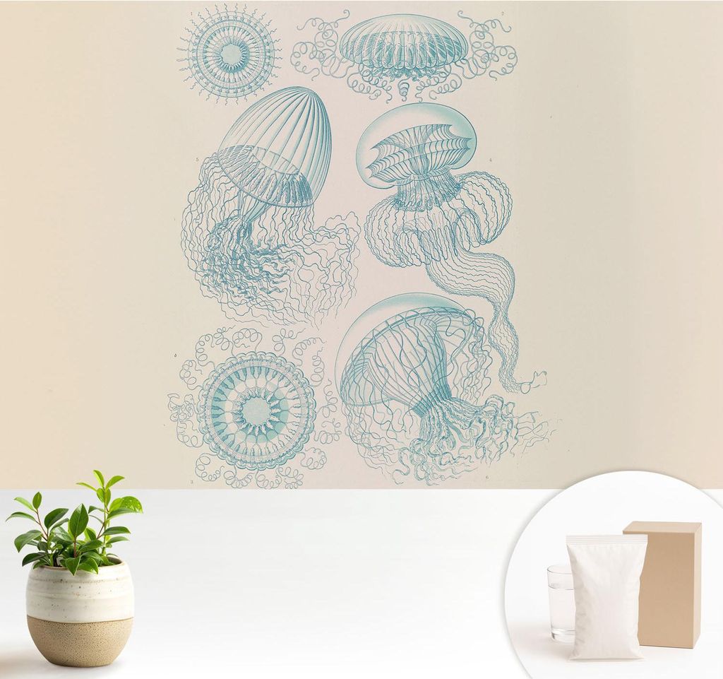 Fototapete - 104x70 cm - Tapete - Wandtapete - Wandbilder - Dekofolie - Tapete Folie - Wand - Dekoration - Wohnzimmer - Seequallen