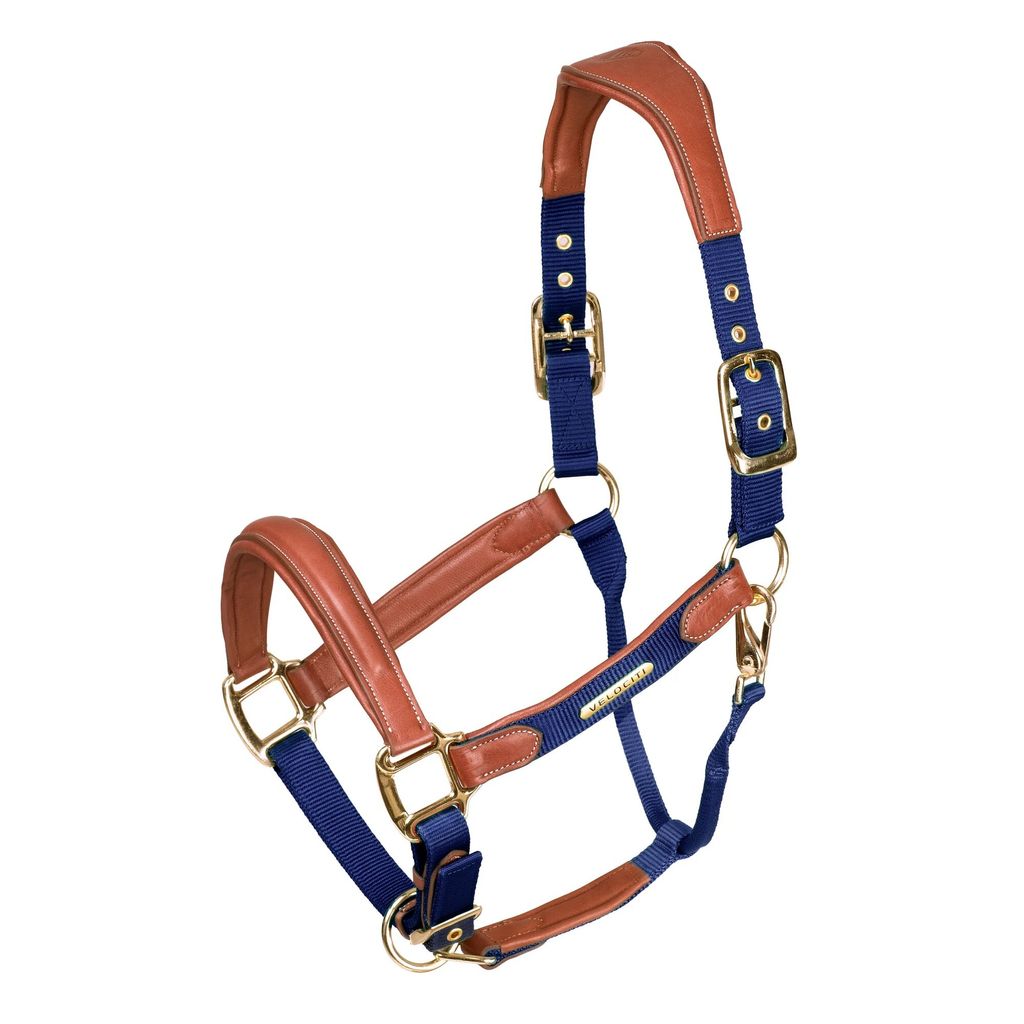 Velociti Lusso - Pferdehalfter, Leder, Wattiert ER1675 (Cob) (Marineblau)