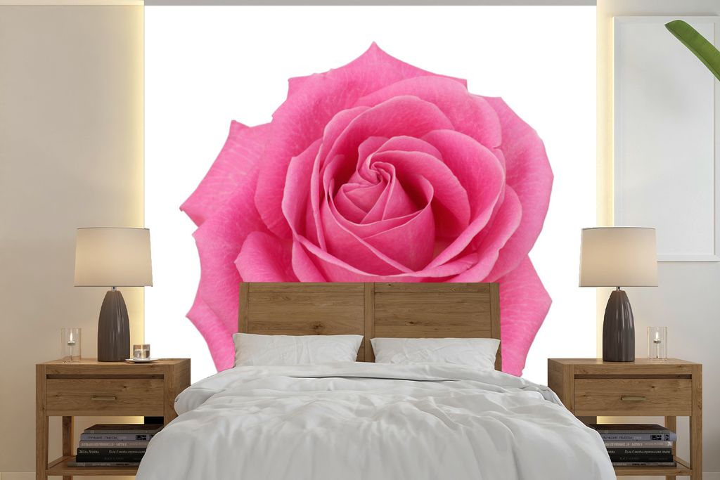 MuchoWow Fototapete für Wohnzimmer oder Schlafzimmer Wandtapete Vinyl Motivtapete Nahaufnahme einer einzelnen rosa Rose auf weißem Hintergrund ...