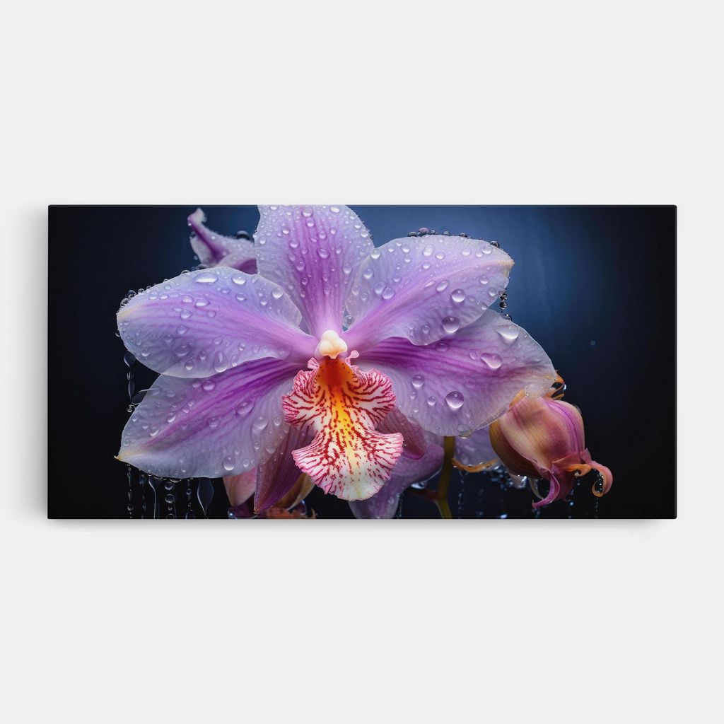 ARTHUB Leinwandbild 60x120 cm, Orchid In Rain | Wohnzimmerdekoration, Hängende Bilder, Wanddekoration, Heimdekoration, Blumen, Orchideen