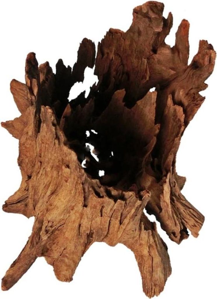 Philippinen Klassisches Treibholz - Mangrovenholz aus Wasser L 30 cm - 40 cm Terrario
