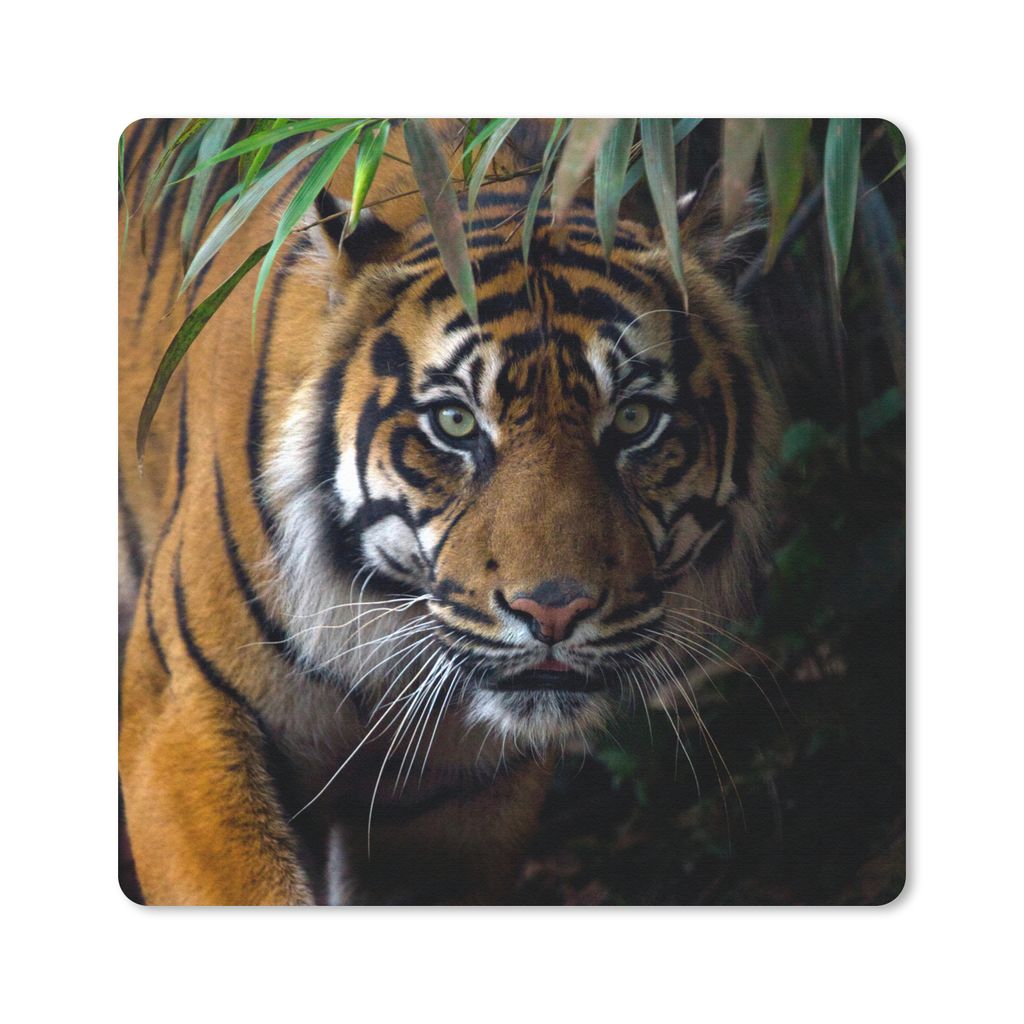 MuchoWow Mauspad Mousepad Tiger - Blätter - Dschungel - Tiere - Wild 20x20 cm - Mousepads - Maus Mat - Pad - Mausunterlage - Desk Mat - Bureauar...