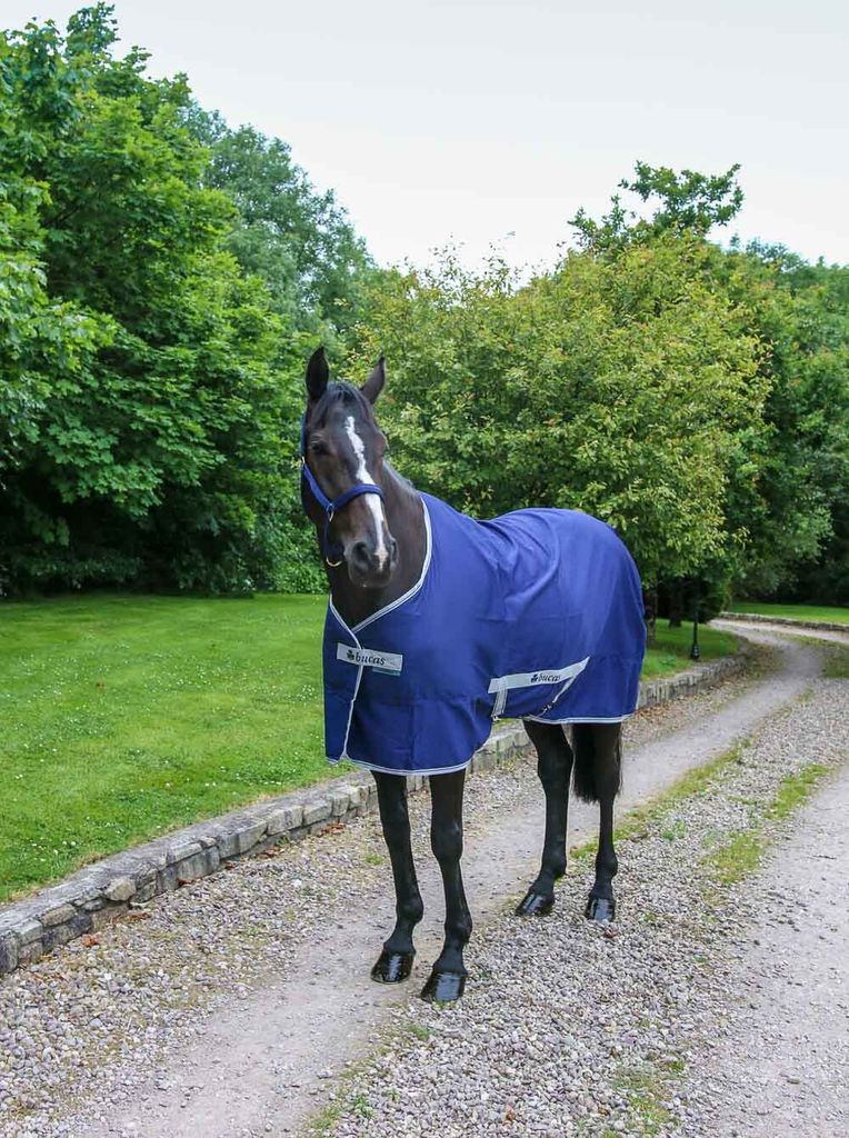 Bucas Stalldecke 0g Freedom Twill Sheet Transportdecke Navy 140