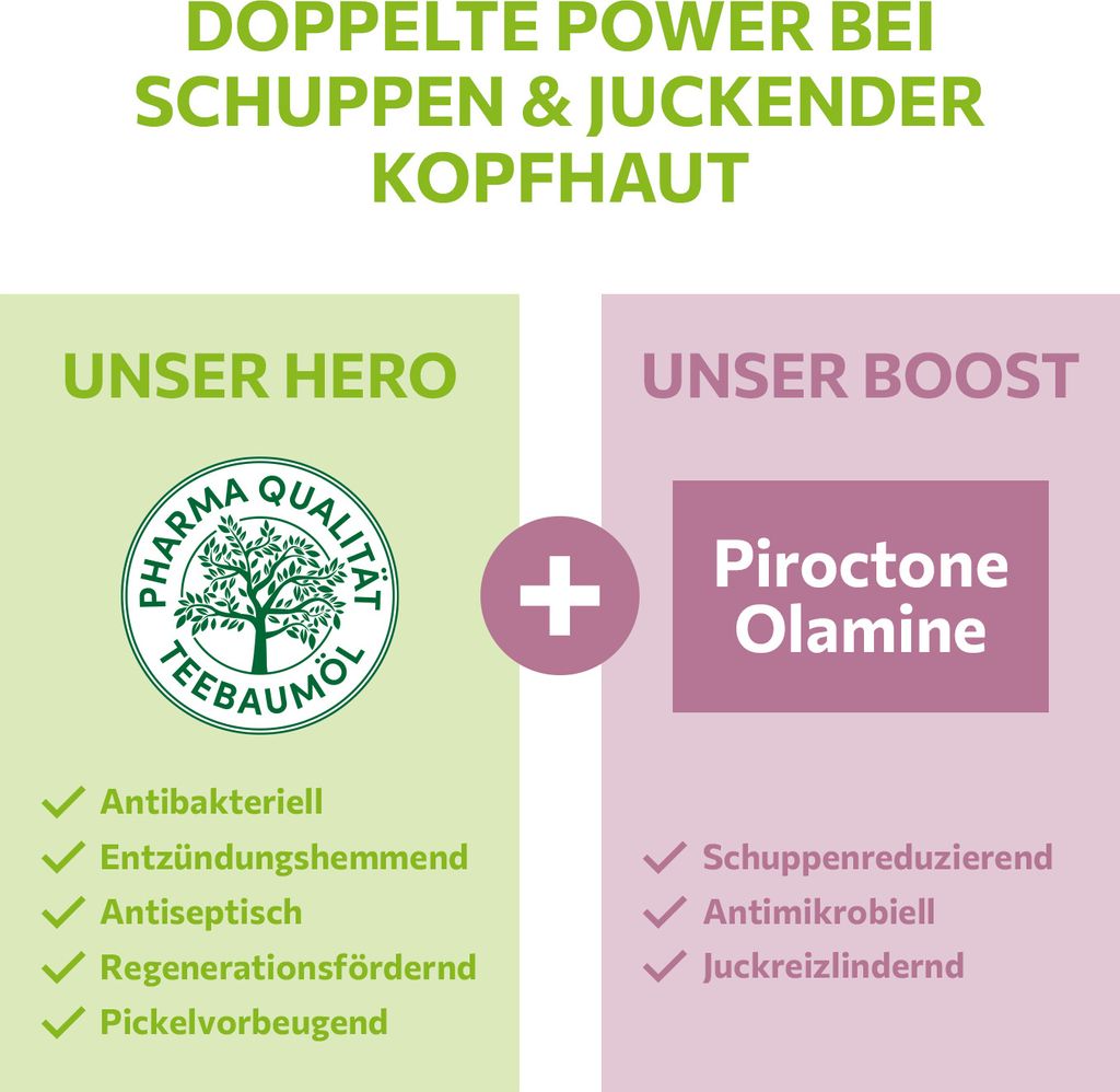alkmene Mein Teebaumöl Anti Schuppen Shampoo 3x 200 ml Produktbild 3