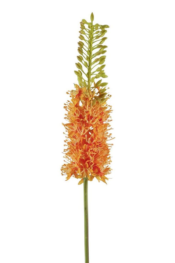 Fink STEPPENKERZE, Kunstblume, Kunstfasern, orange, H. 87 cm Höhe: 87.00 cm 181000