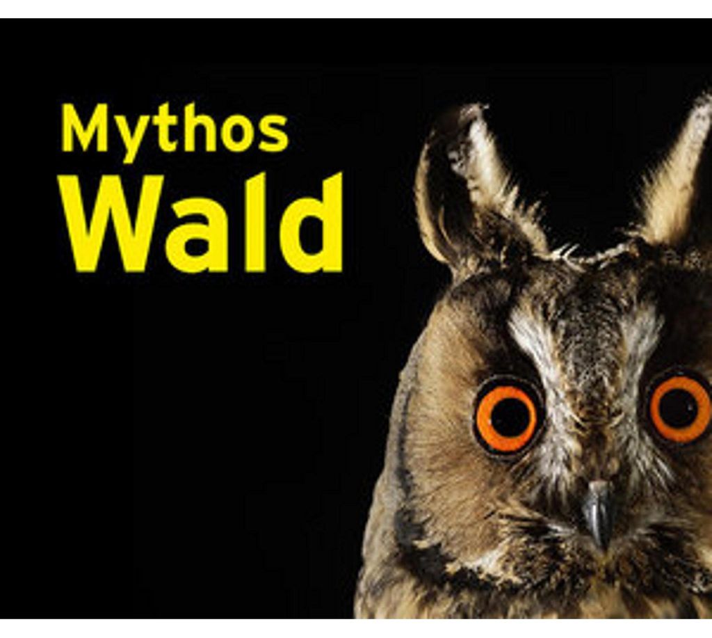 Mythos Wald