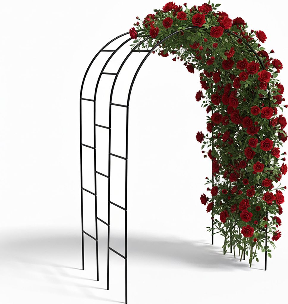 Arche à roses Relaxdays, en métal, dimensions : 240 x 140 x Image du produit 