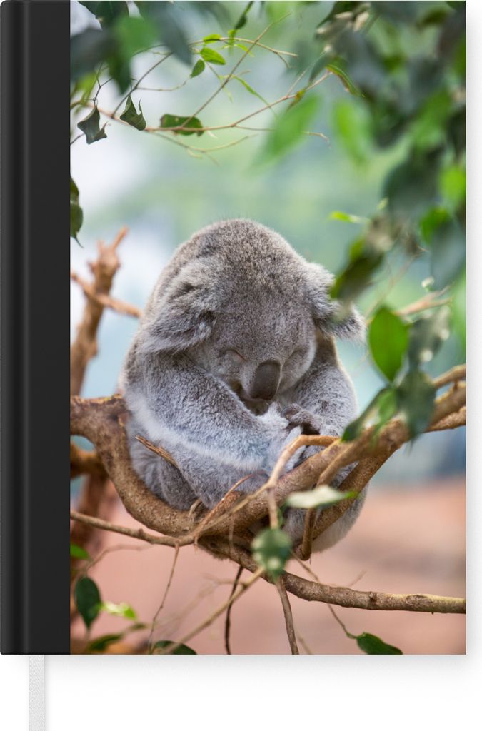 MuchoWow Notizbuch Tagebuch Haushaltsbuch Notebook A5 Koala - Äste - Schlaf - Kinder - Jungen - Mädchen - Notizblock - Notizheft - Notebook - S...