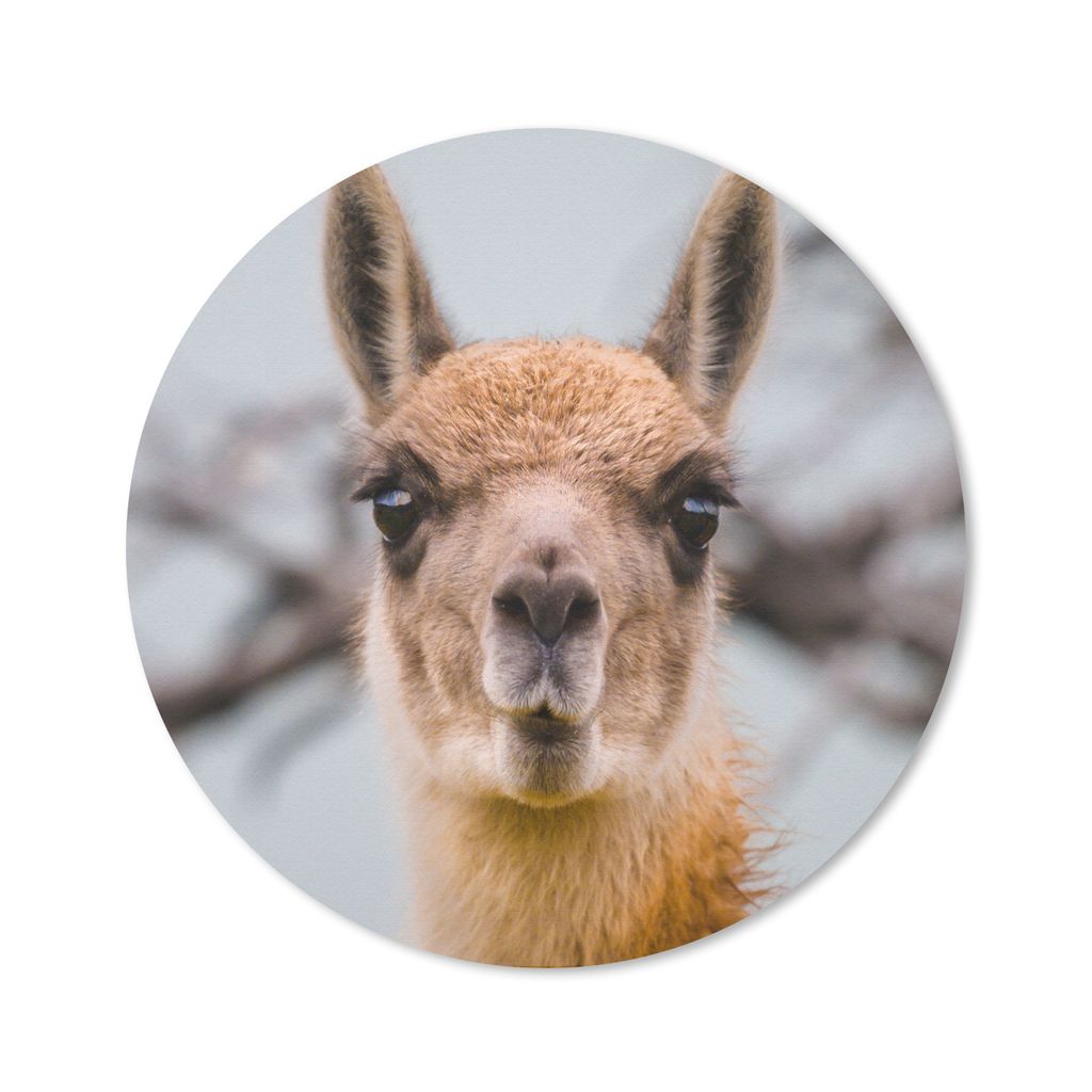 MuchoWow Mauspad Mousepad Lama - Selfie - Boom 30x30 cm - Mousepads - Maus Mat - Pad - Mausunterlage - Tischunterlage - Schreibtischmatten