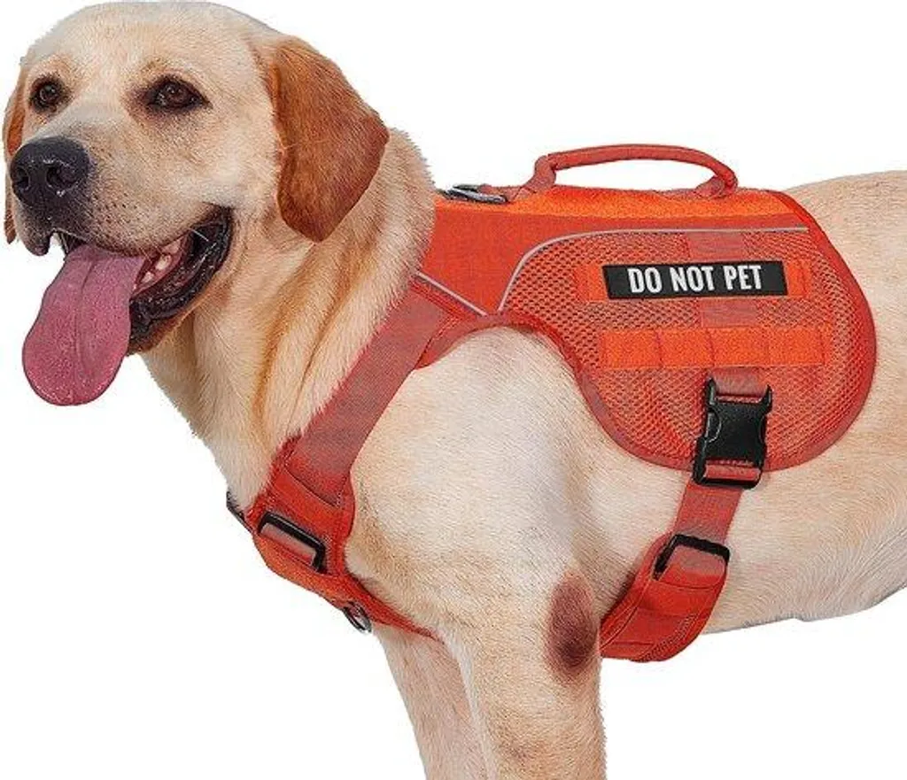 Harnais de promenade pour grand chien orange L - Rembourré et ergonomique