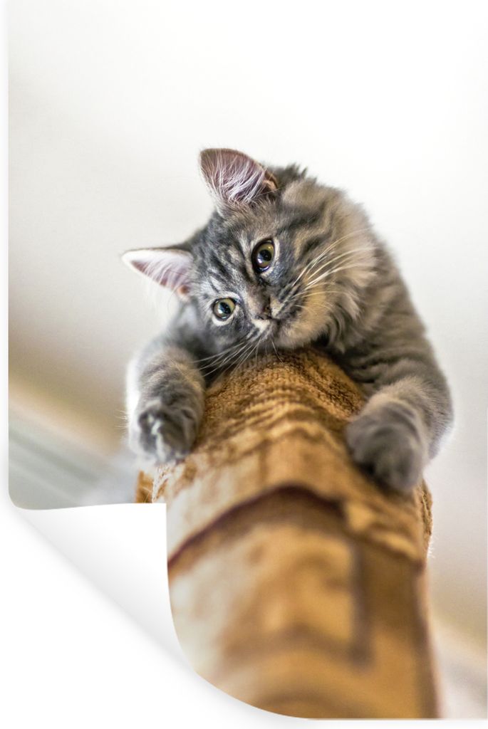 MuchoWow - Wierderverwendbar - Selbstklebend